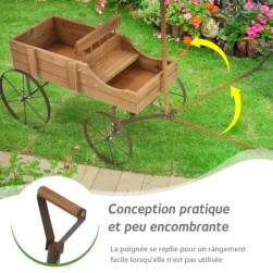 Brouette de Jardin Decorative en Bois-2 Compartiments a Planter