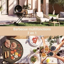 Barbecues électrique, Grill de table amovible, Thermostat réglable