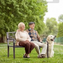 RELAX4LIFE Banc de Jardin-Dossier Ciselé Accoudoirs Arrondis Pieds