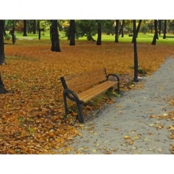 Banc Jardin Exterieur - Banc de Jardin en Bois - Banc de Parc