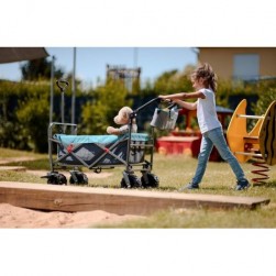 Lemmy Chariot de Plage Pliable, Chariot de Transport, remorque de Jardin