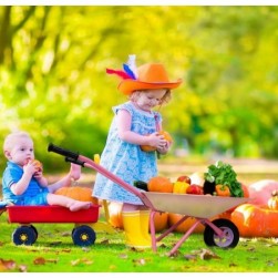 Hortem Brouette en métal pour enfants-Outil de jardinage pour enfants