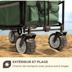 Waldbeck Easy Rider - Chariot de Transport, Barre Charge, 70kg, Vert