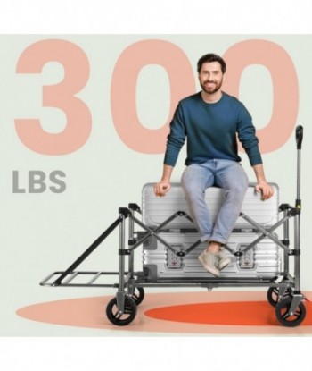 Chariot d'épicerie Robuste et Pliable avec hayon,Chariot d'épicerie Utilitaire