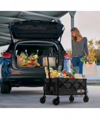 OVERMONT Chariot d'épicerie Pliable – Chariot Utilitaire Pliable et Robuste avec Roues