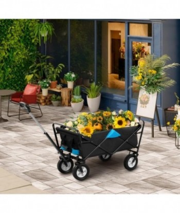 Chariot de Transport pour Jardin